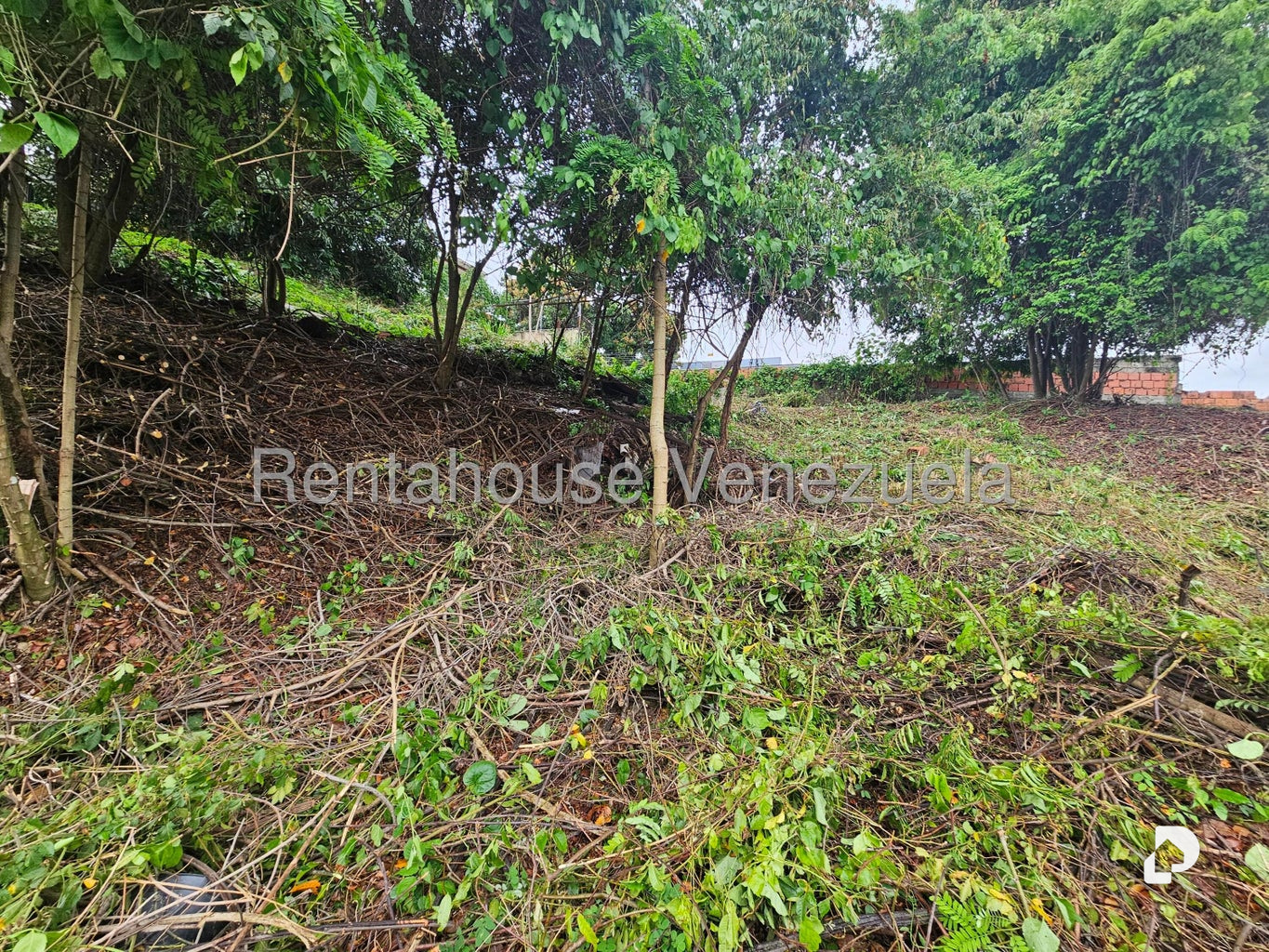 Terreno en Prados del Este, Caracas – 14