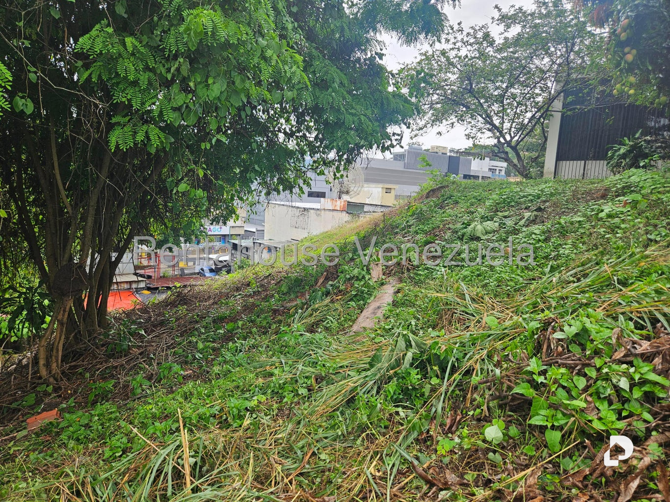 Terreno en Prados del Este, Caracas – 24