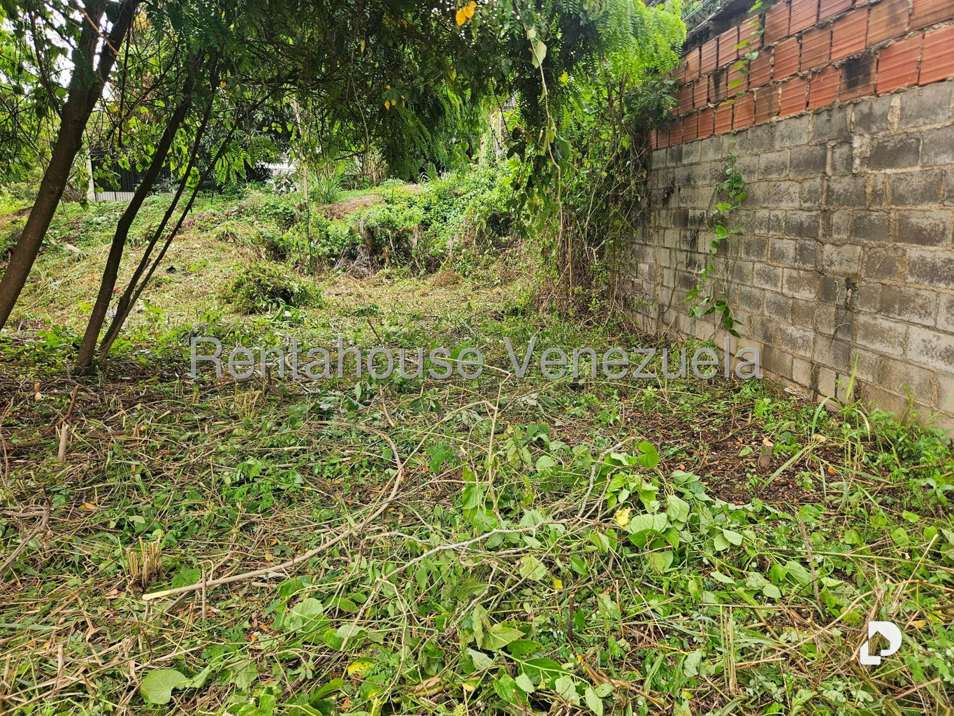 Terreno en Prados del Este, Caracas – 20