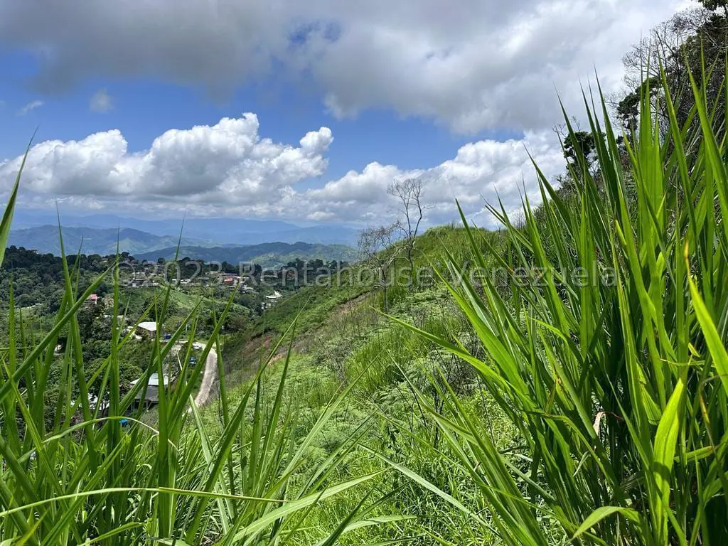 Terreno en San Antonio de Los Altos - 1
