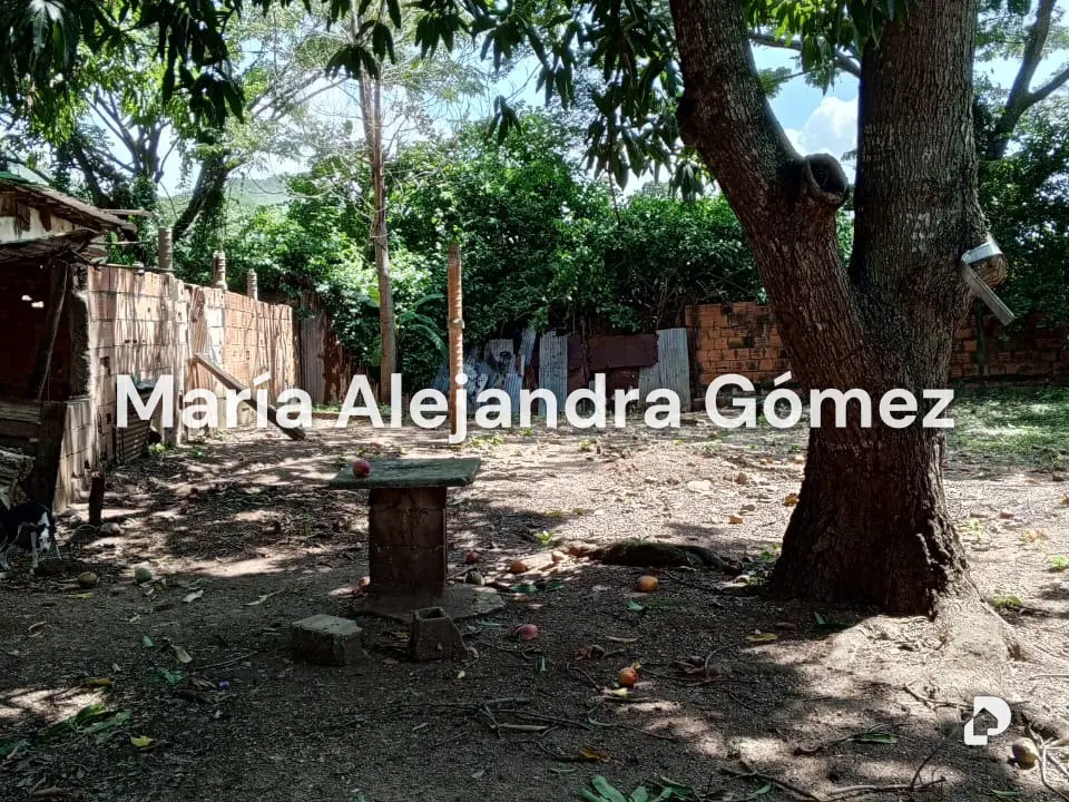 Local comercial en El Caobal, Charallave – 8