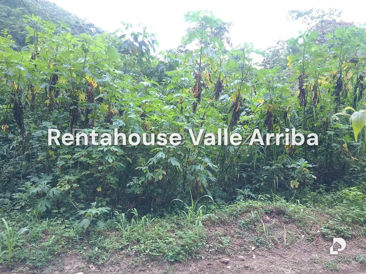 Terreno en El Hatillo, Caracas – 1