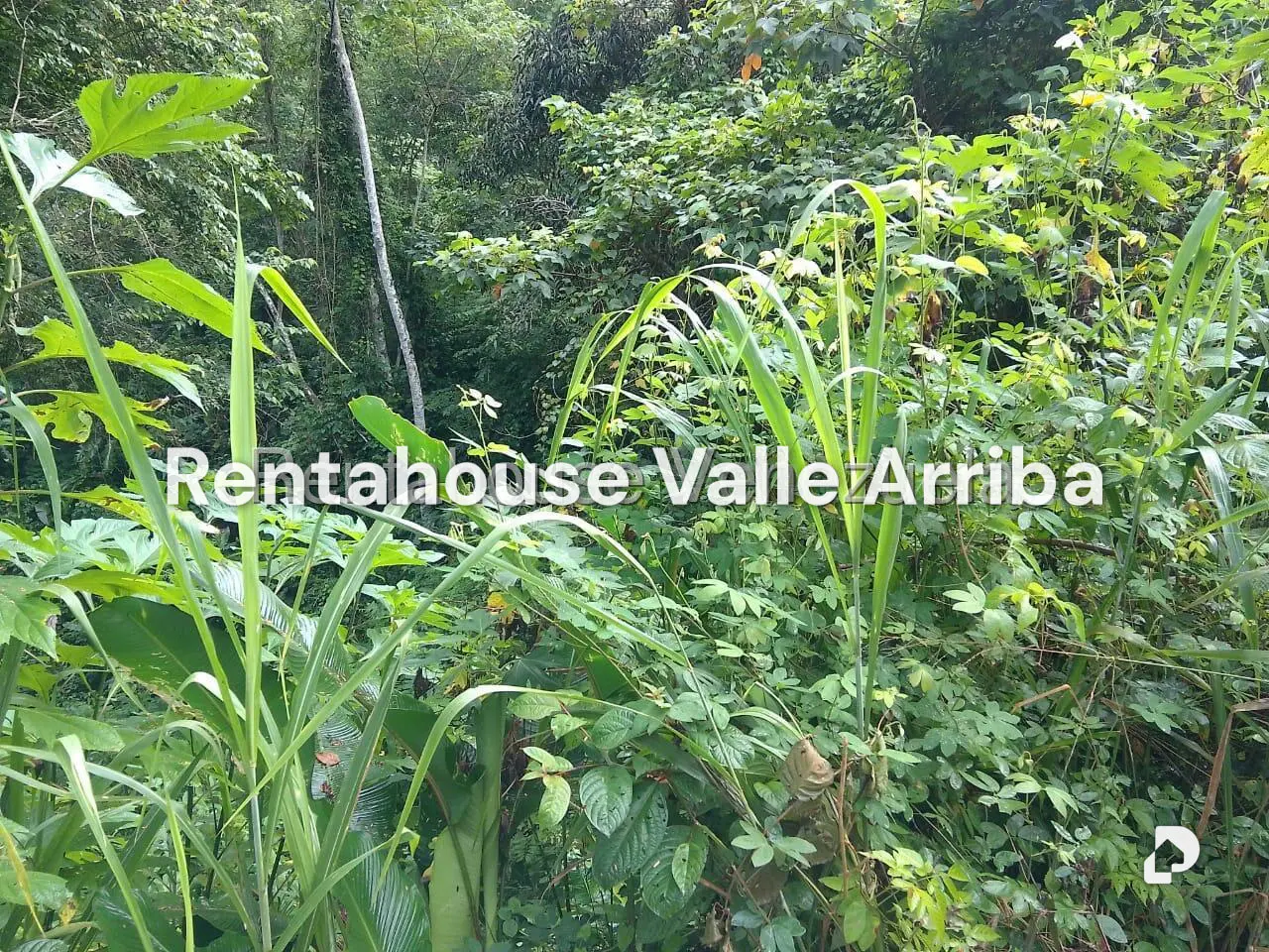 Terreno en El Hatillo, Caracas – 4