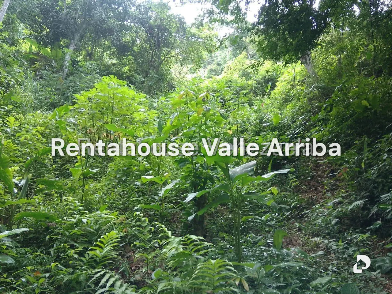Terreno en El Hatillo, Caracas – 2