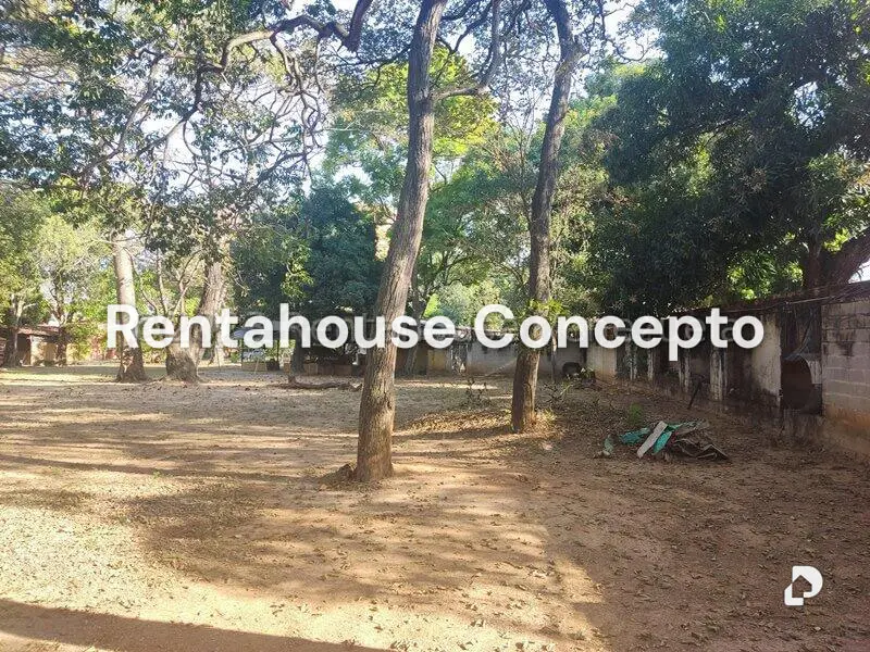 Terreno en Agua Blanca, Valencia – 5