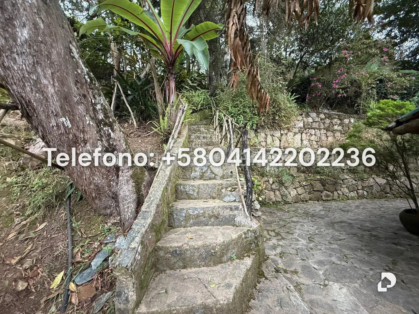 Land in Gengibrillar, Carayaca – 2