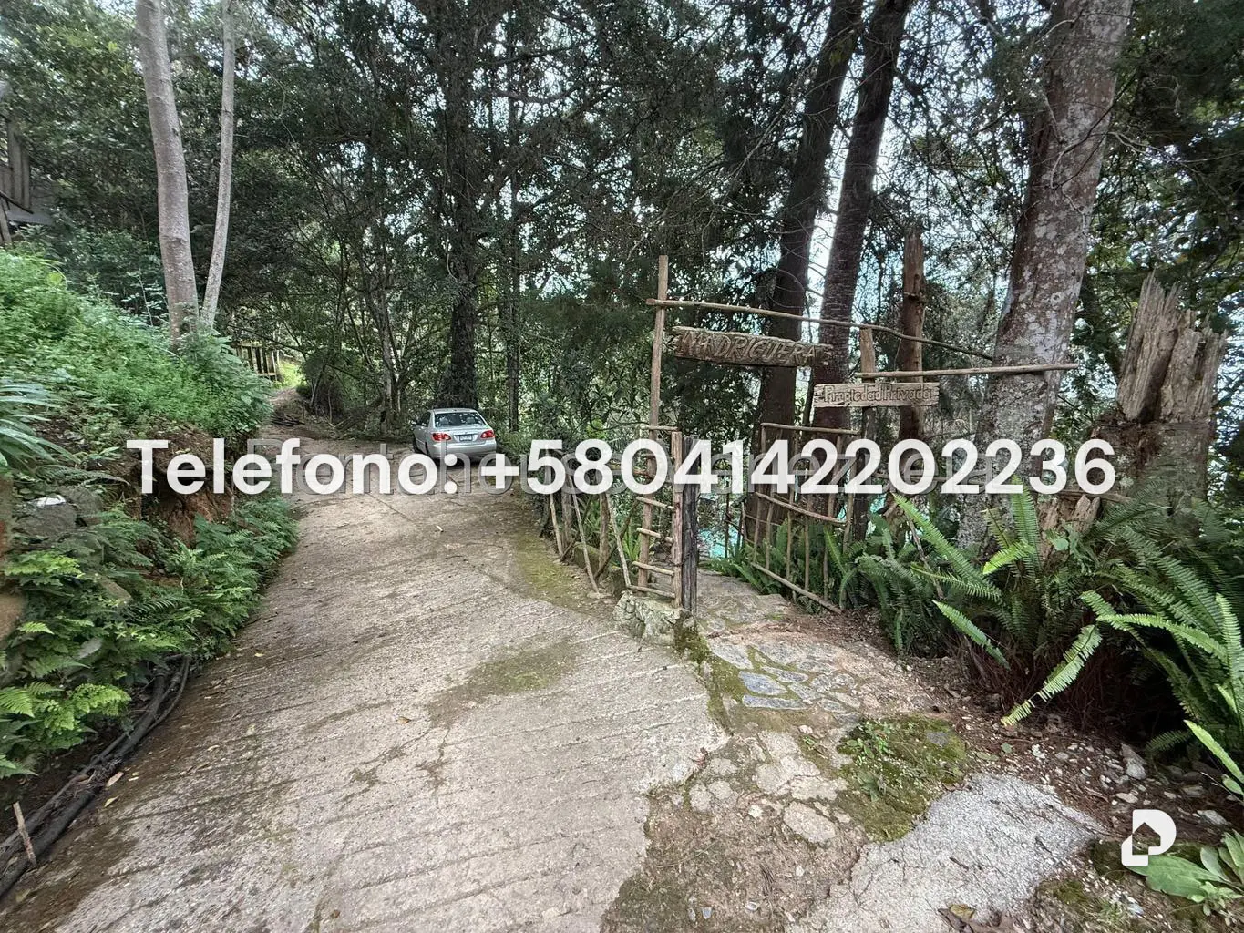 Land in Gengibrillar, Carayaca – 1