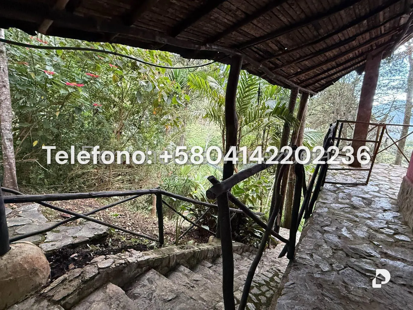 Land in Gengibrillar, Carayaca – 7