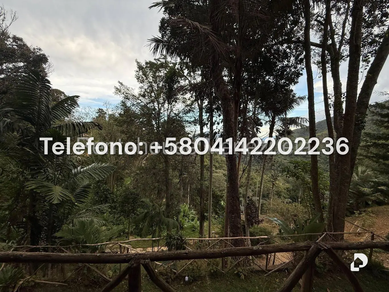 Land in Gengibrillar, Carayaca – 11