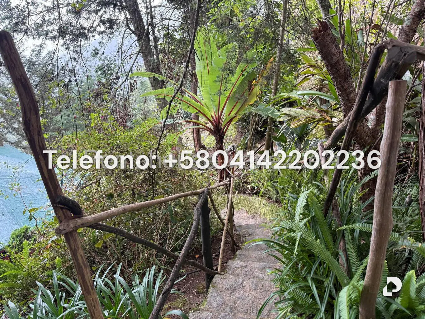 Land in Gengibrillar, Carayaca – 3