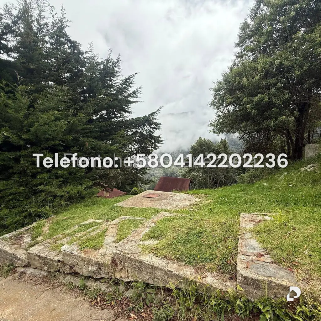 Land in Gengibrillar, Carayaca – 24