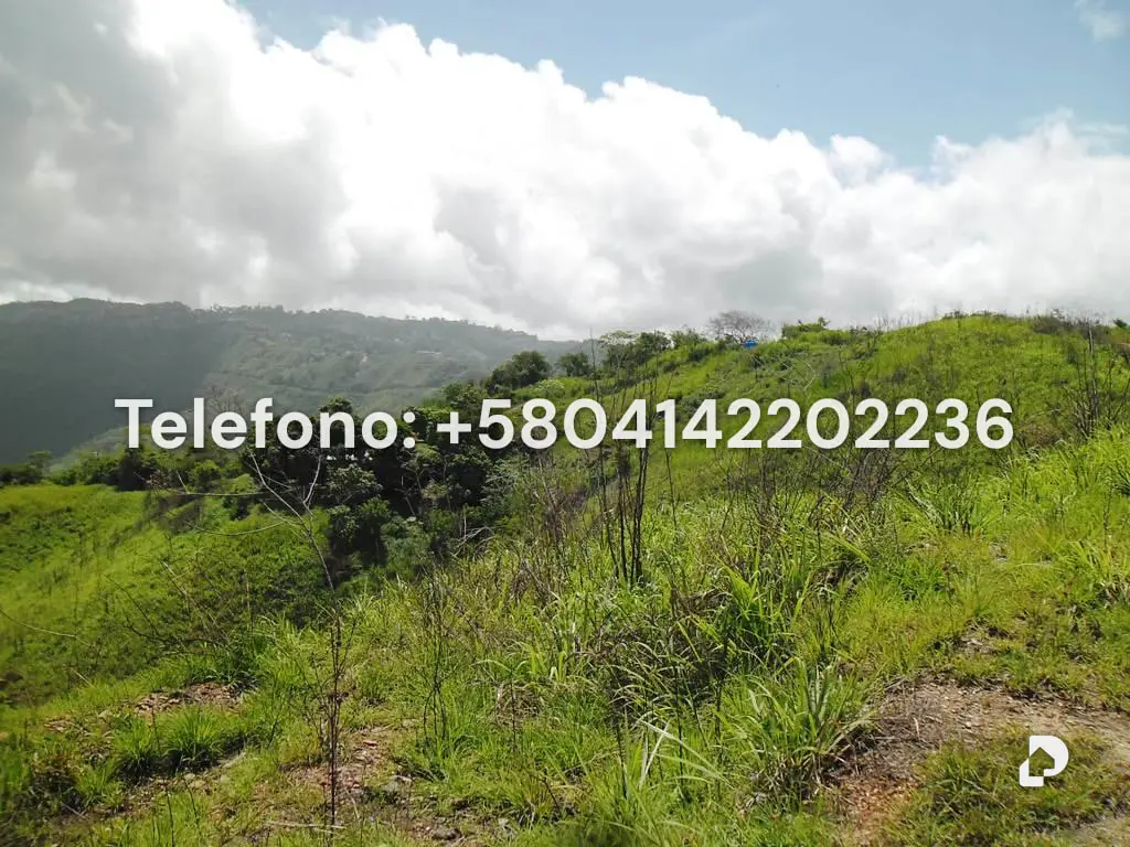Terreno en El Hatillo, Caracas – 3