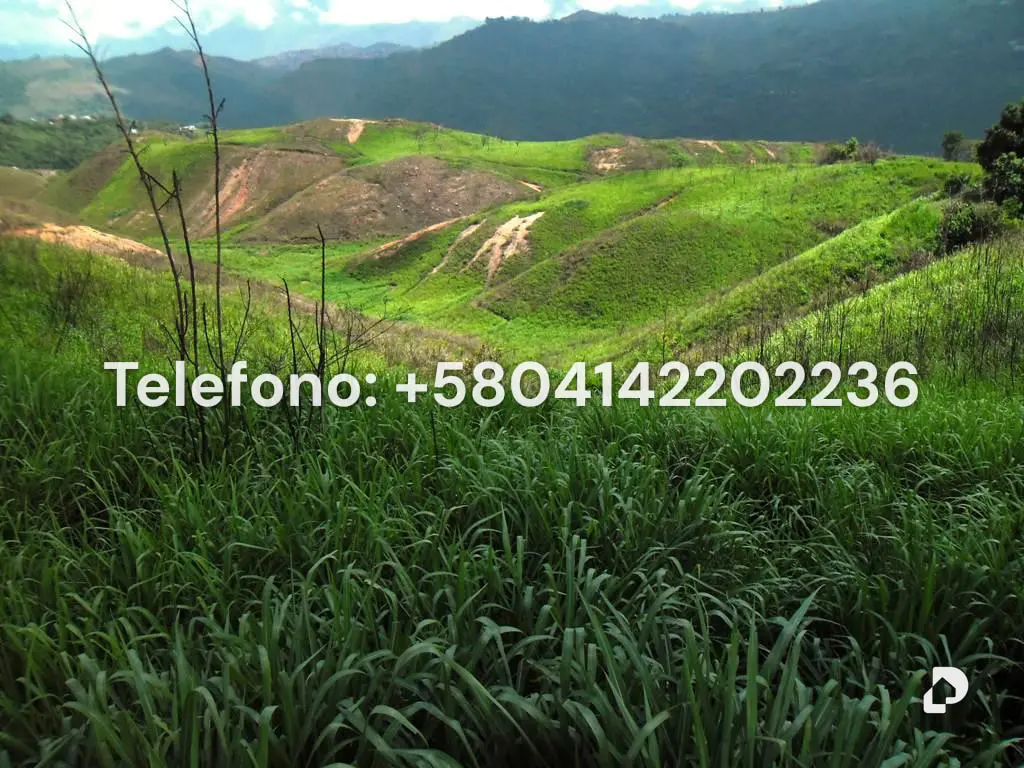 Terreno en El Hatillo, Caracas – 11