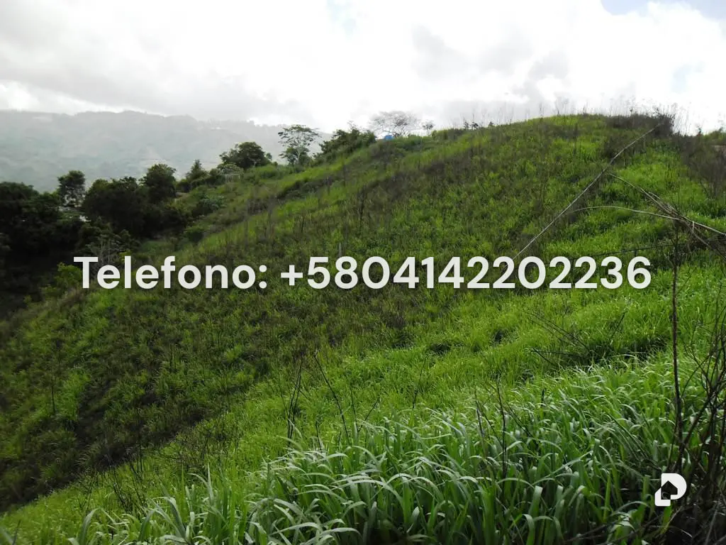 Terreno en El Hatillo, Caracas – 15