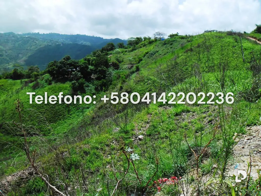 Terreno en El Hatillo, Caracas – 22