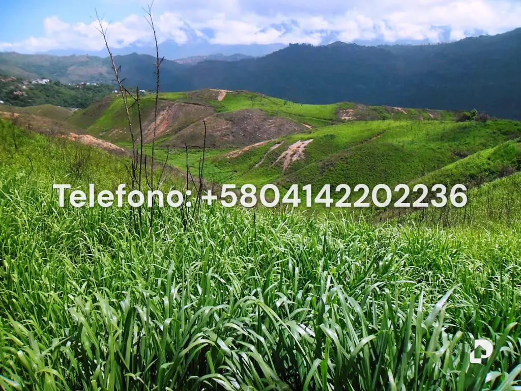 Terreno en El Hatillo, Caracas – 8