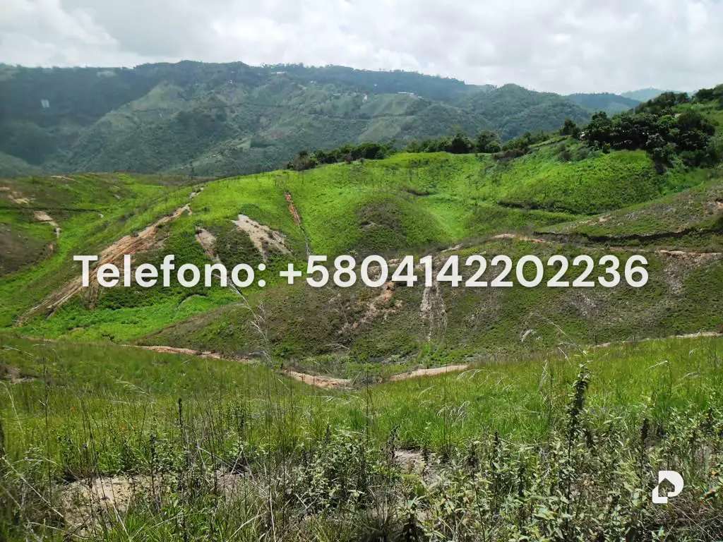 Terreno en El Hatillo, Caracas – 27