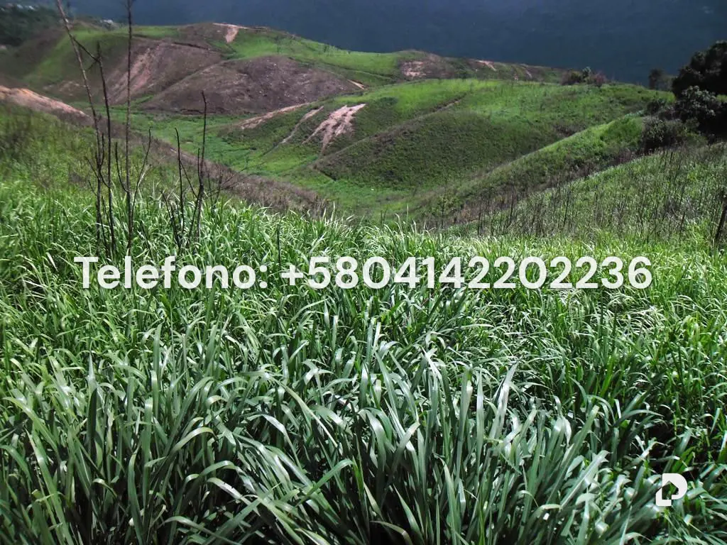 Terreno en El Hatillo, Caracas – 7