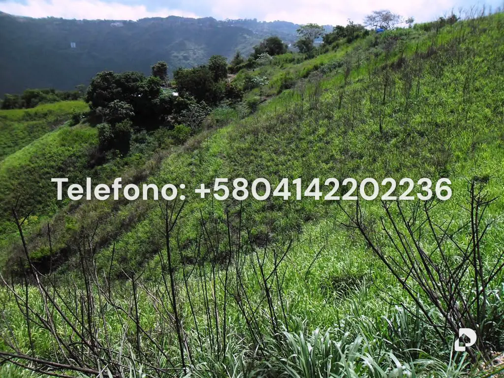 Terreno en El Hatillo, Caracas – 6