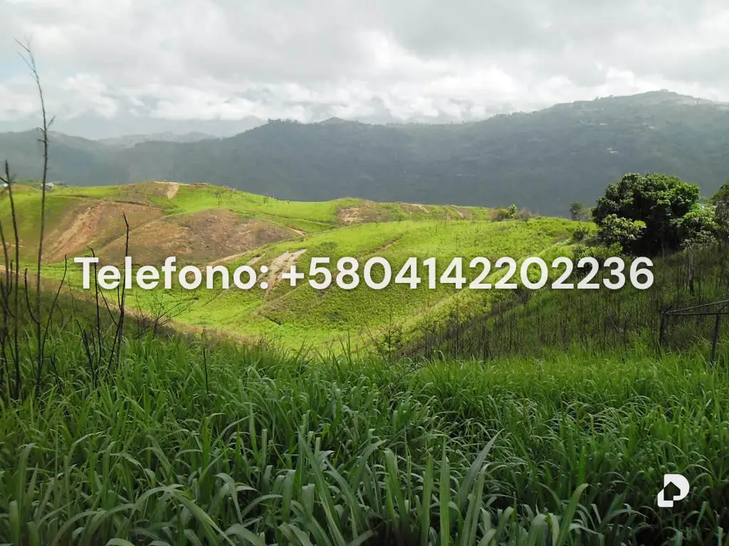 Terreno en El Hatillo, Caracas – 12