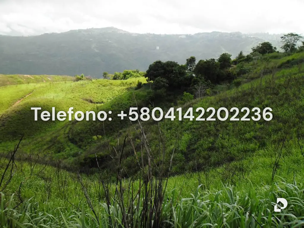 Terreno en El Hatillo, Caracas – 14