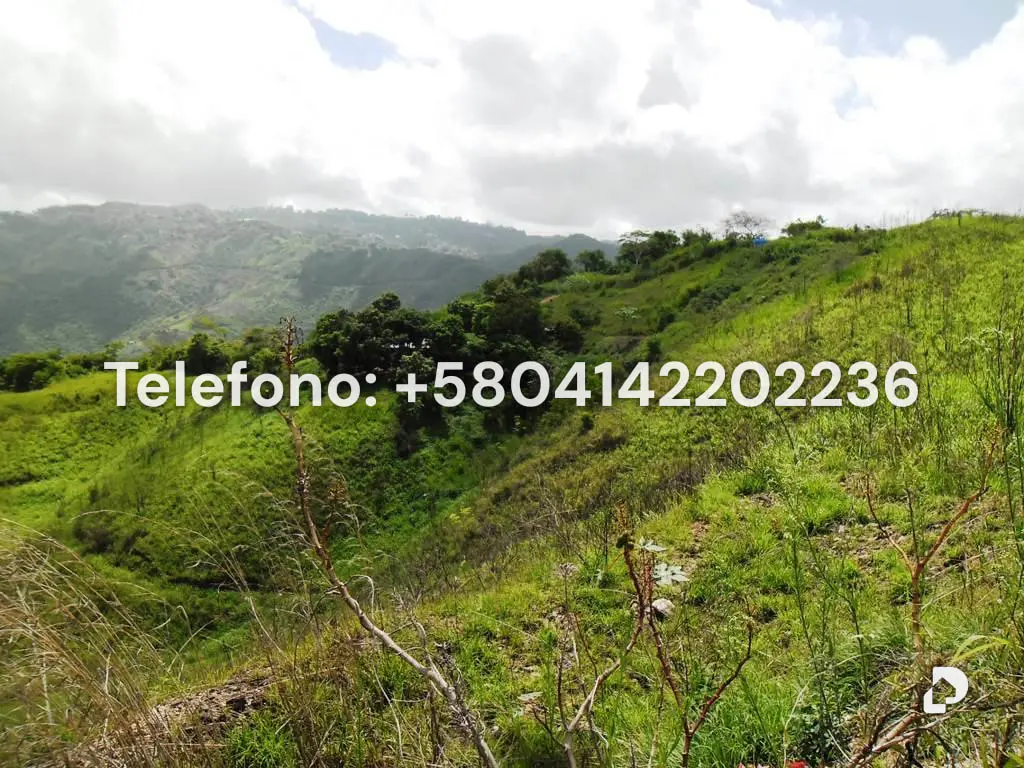 Terreno en El Hatillo, Caracas – 18