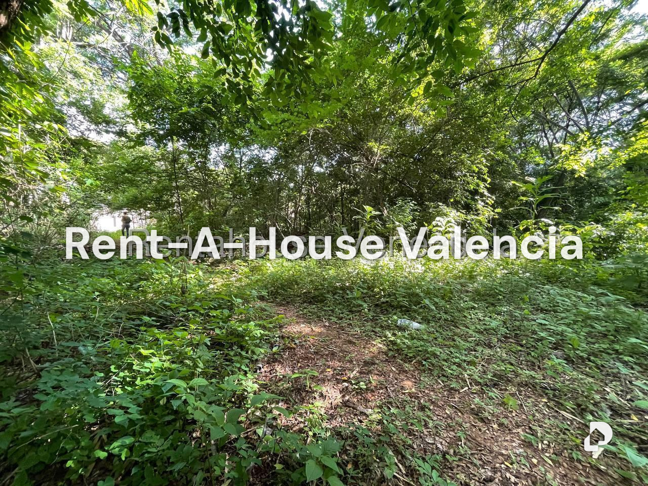 Terreno en Agua Blanca, Valencia – 5