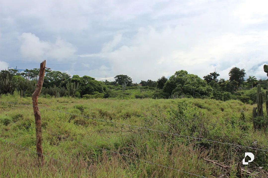 Terreno en Caserío El Llano, San Juan – 8