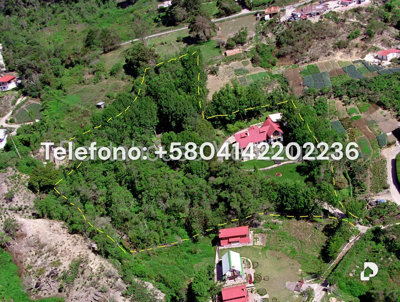 House in Colonia Tovar – 17