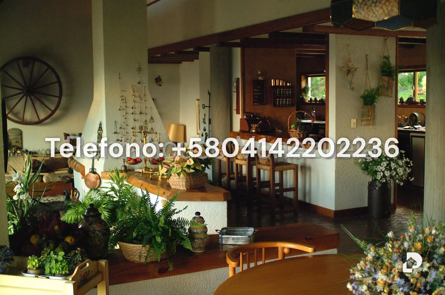 House in Colonia Tovar – 20