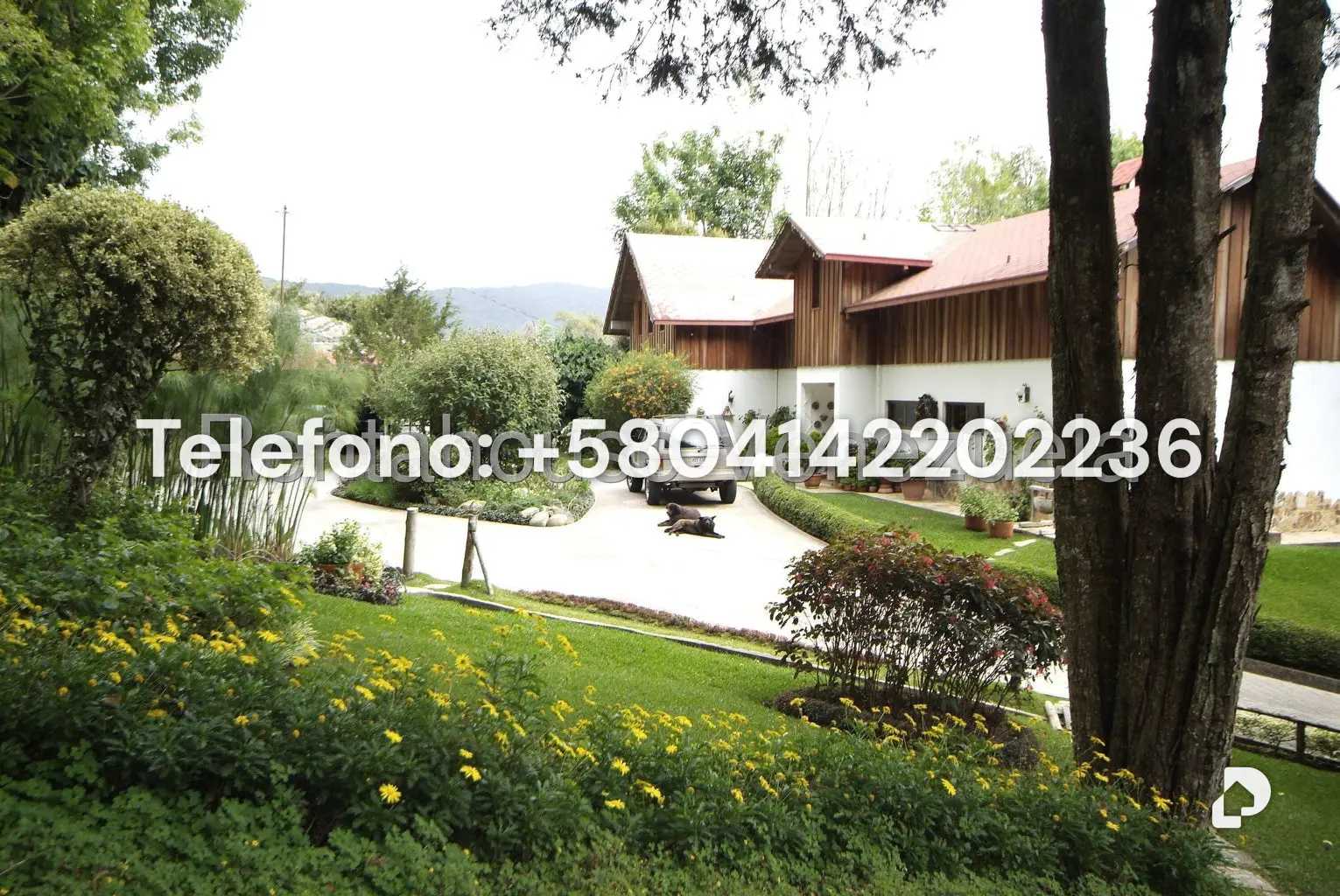 House in Colonia Tovar – 15