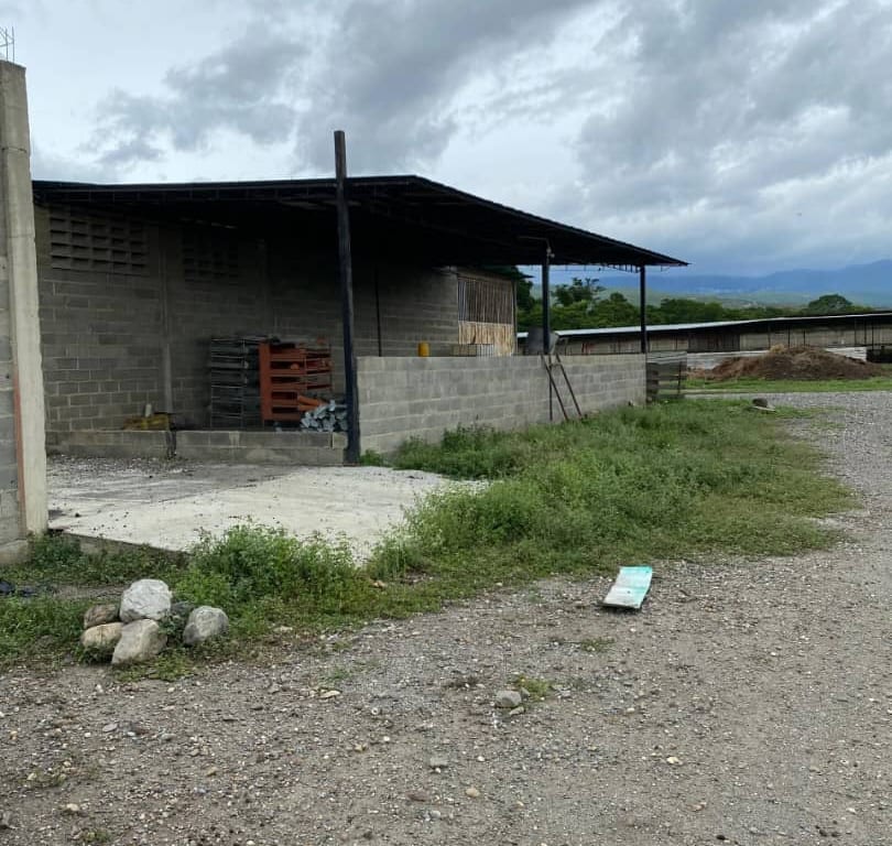 Land in Quíbor - 1