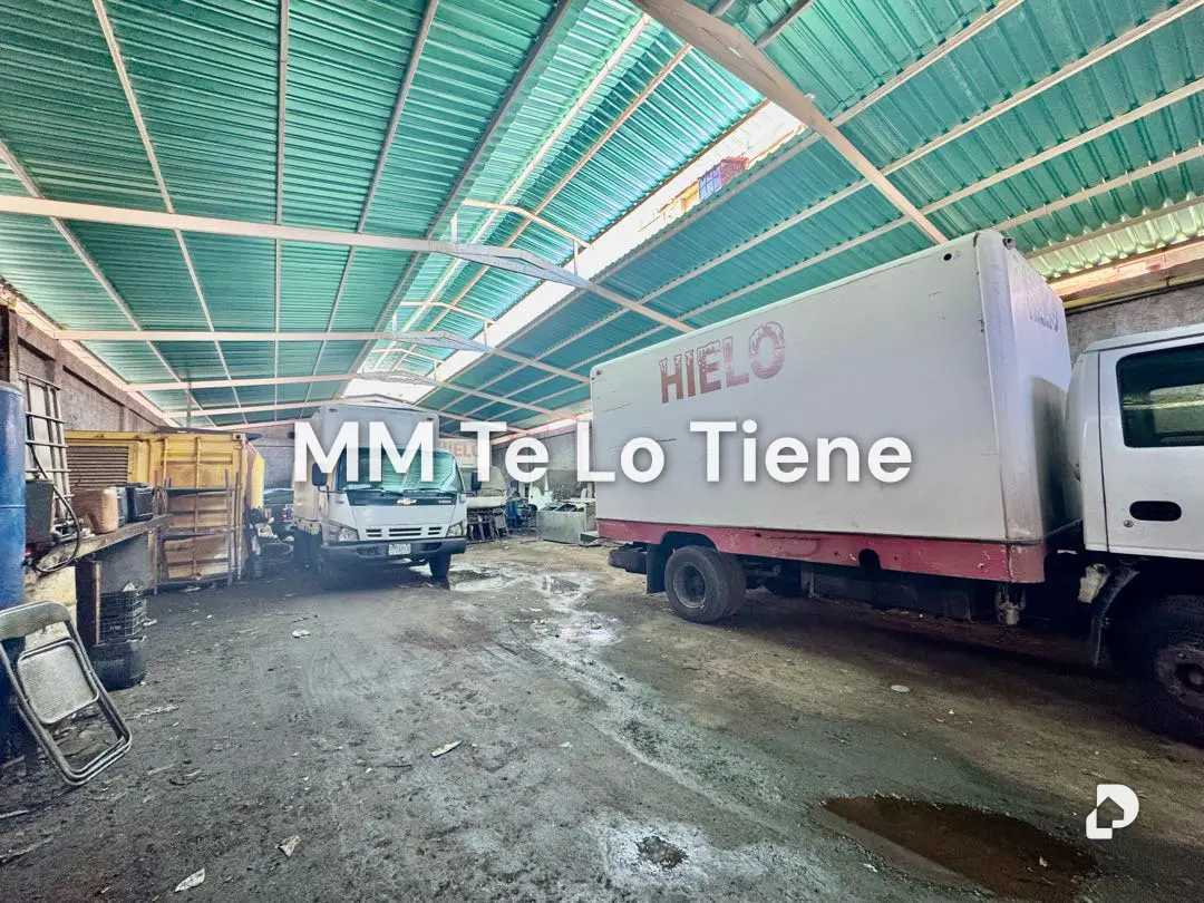 Warehouse in Catia La Mar – 1