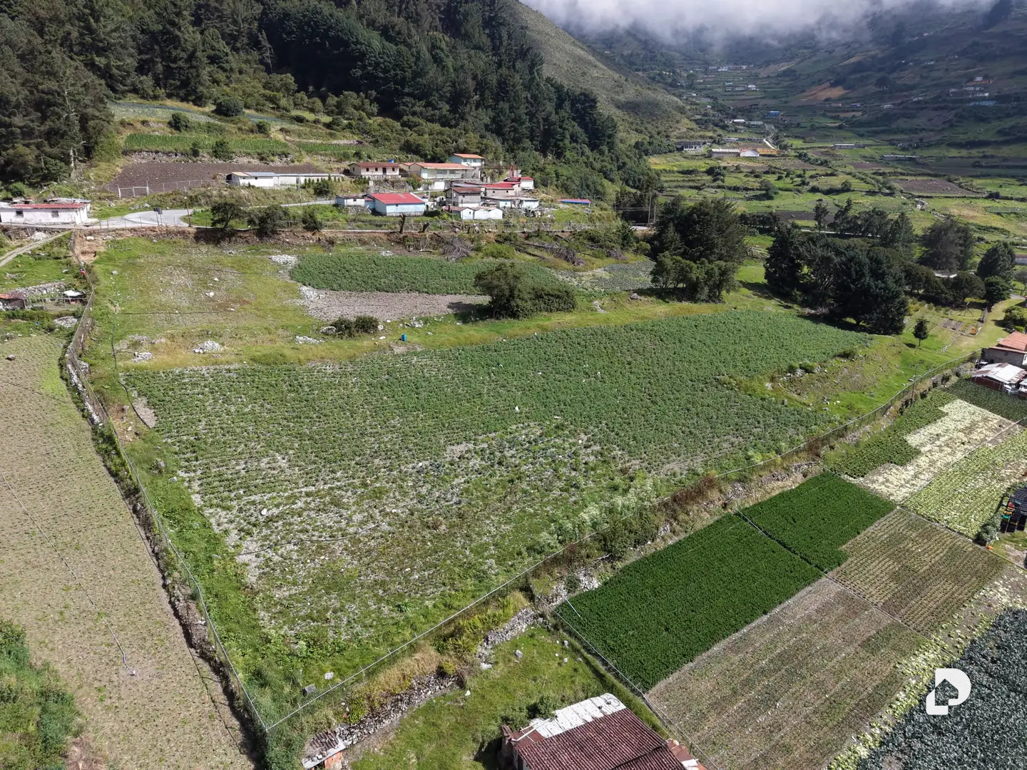 Finca en El Rincón De La Venta, La Venta – 29