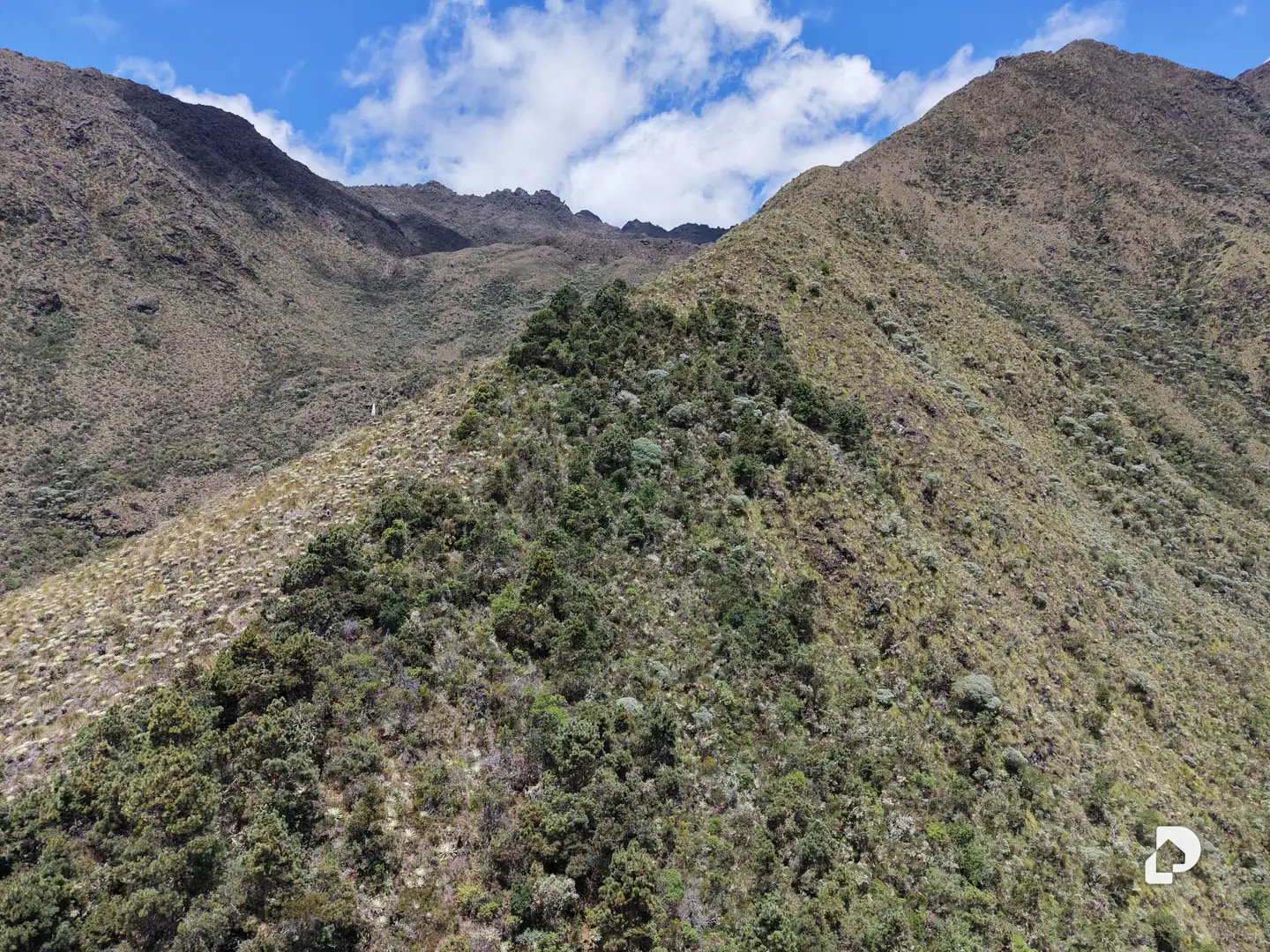 Finca en El Rincón De La Venta, La Venta – 19