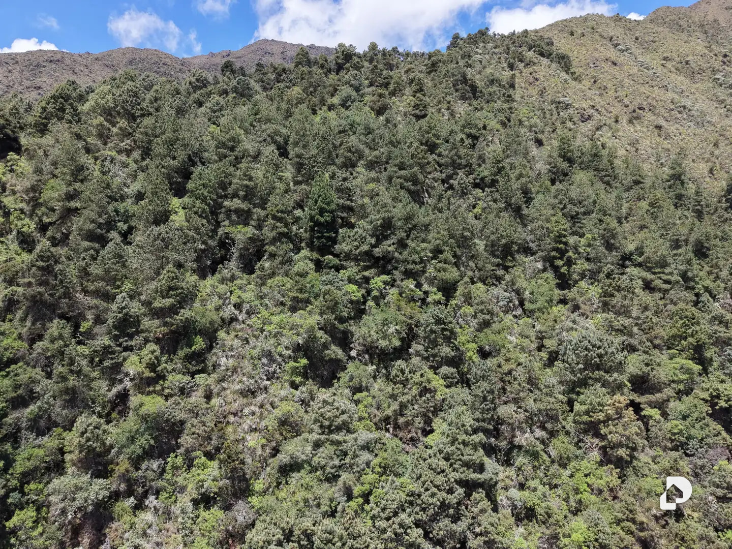 Finca en El Rincón De La Venta, La Venta – 24