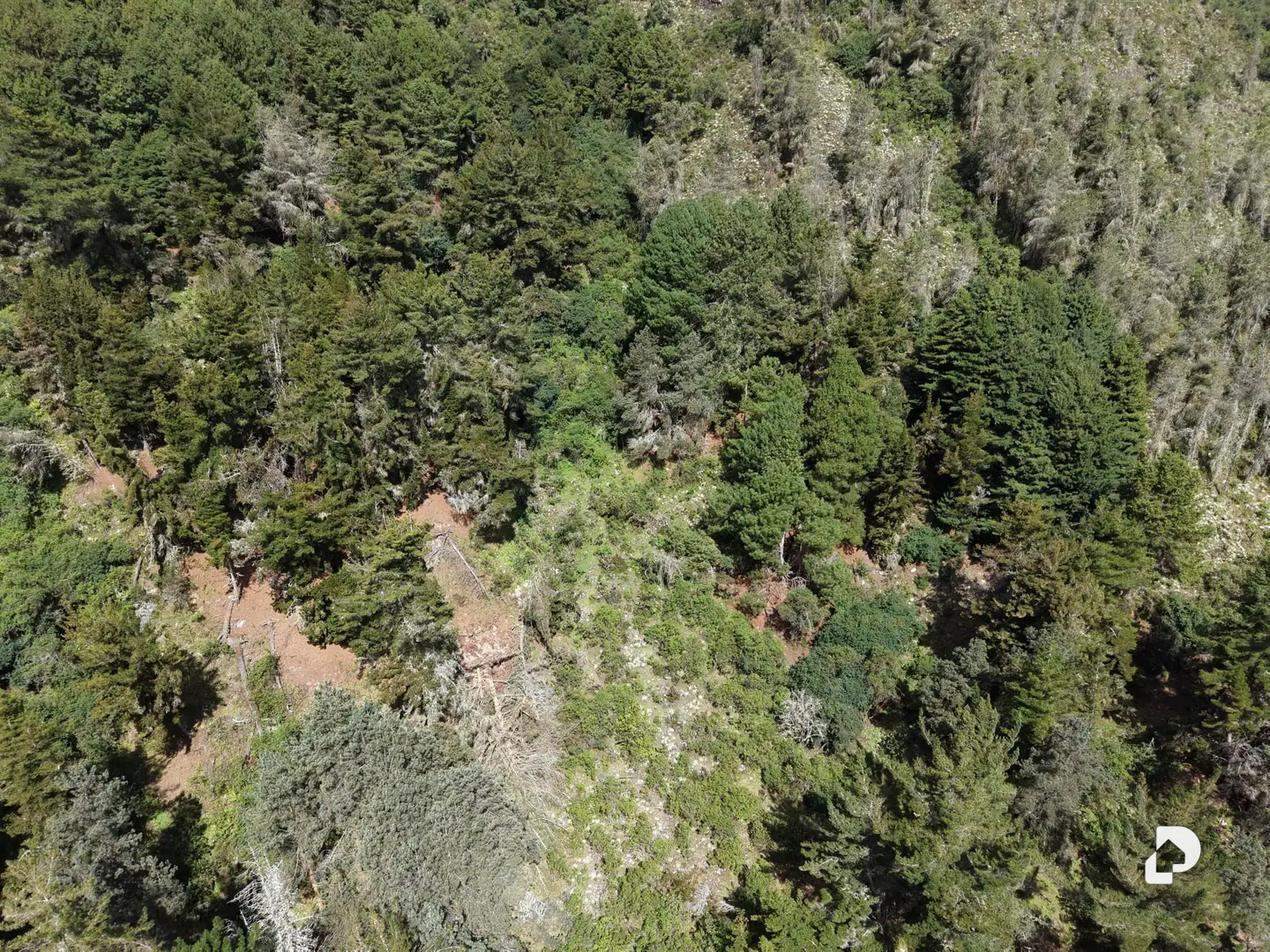 Finca en El Rincón De La Venta, La Venta – 21