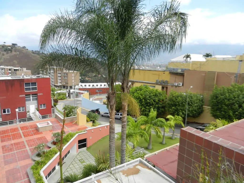 Apartamento en Los Naranjos (del Cafetal), Caracas - 1