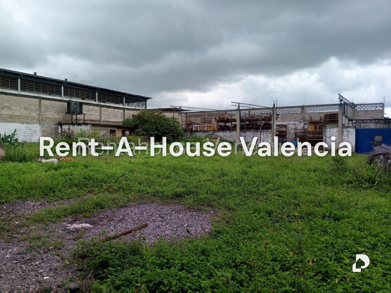 Local comercial en Lizandro Alvarado, Valencia – 19