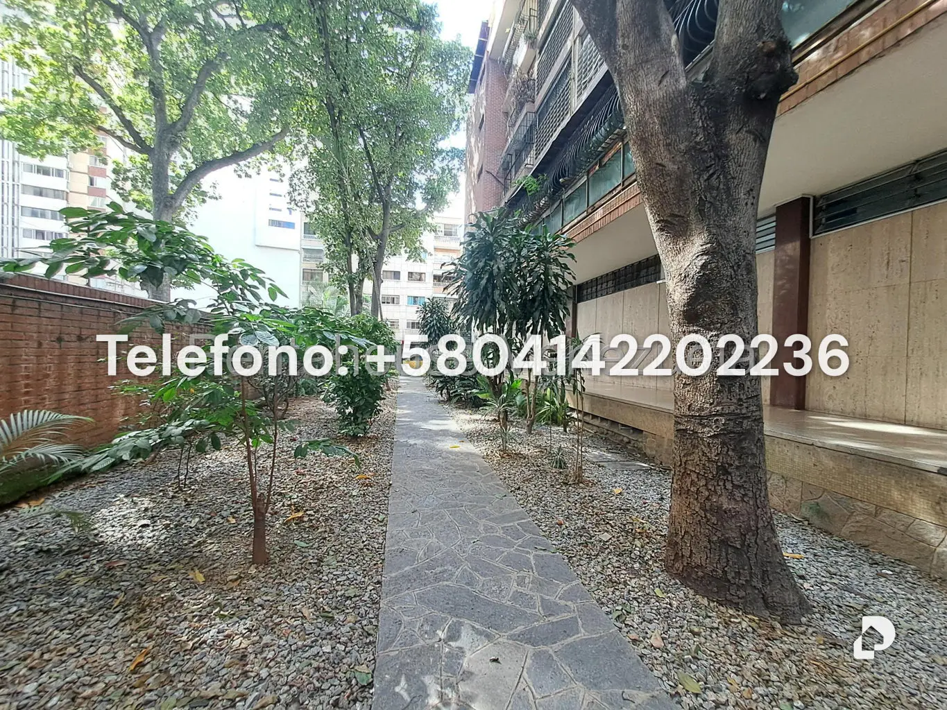 Apartamento en Los Palos Grandes, Caracas – 3