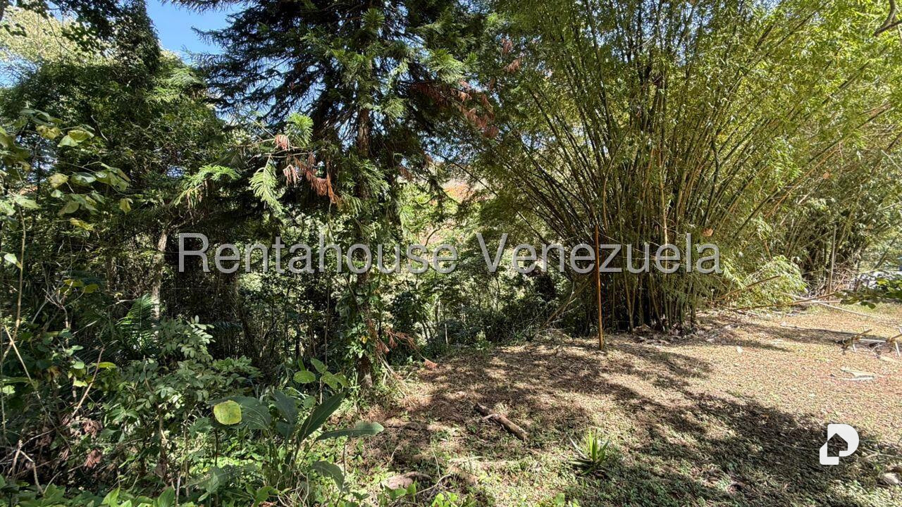 Terreno en Gavilan, Caracas – 2