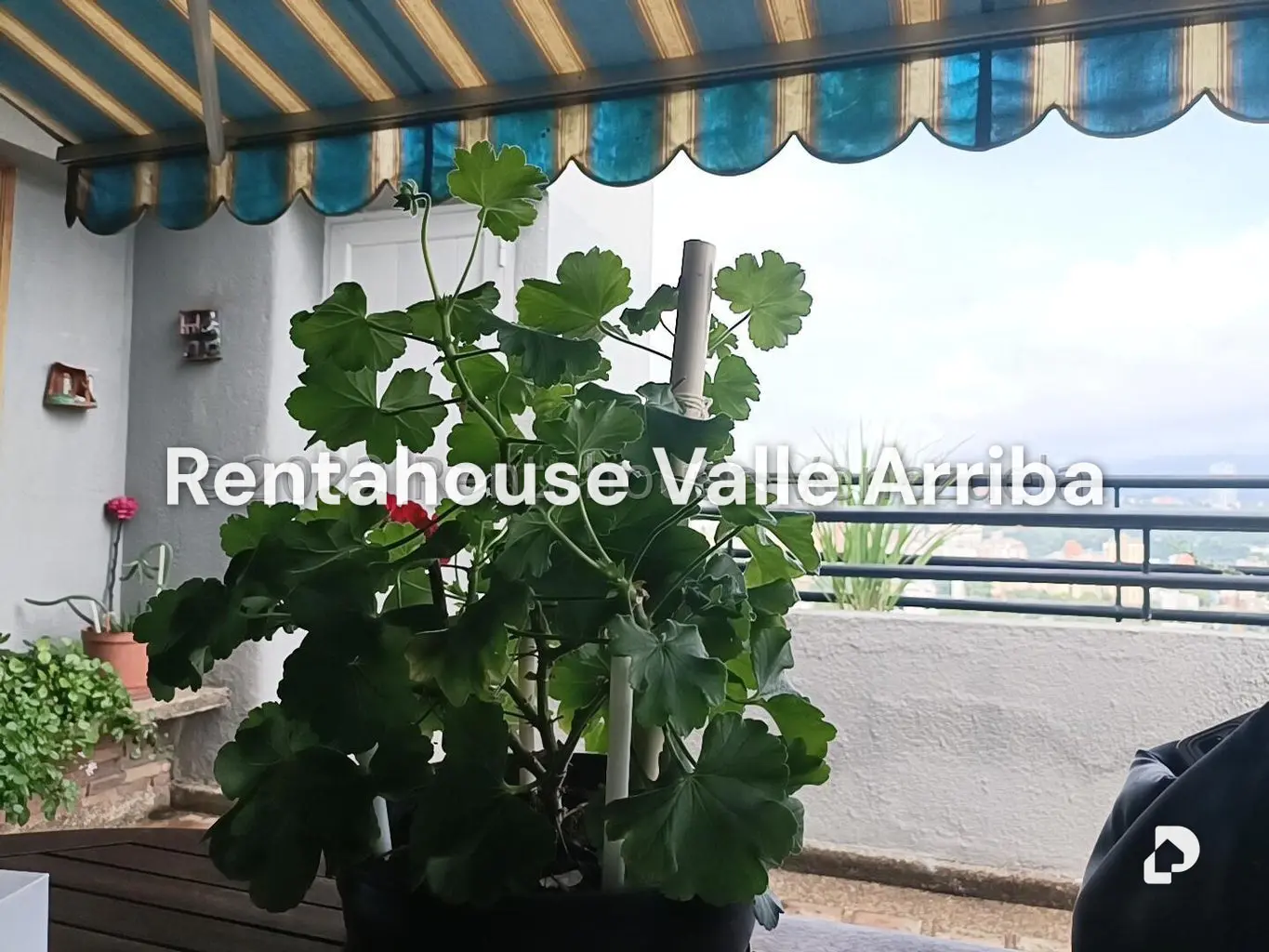 Apartamento en Santa Mónica, Caracas – 28