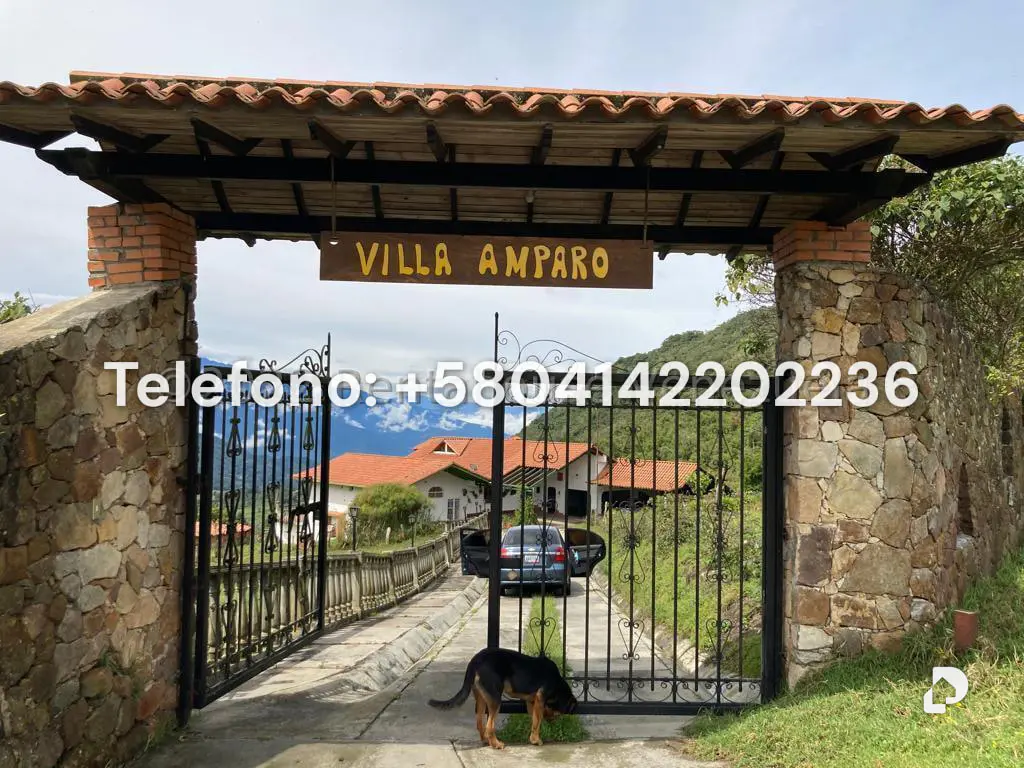 House in El Valle, Mérida – 3