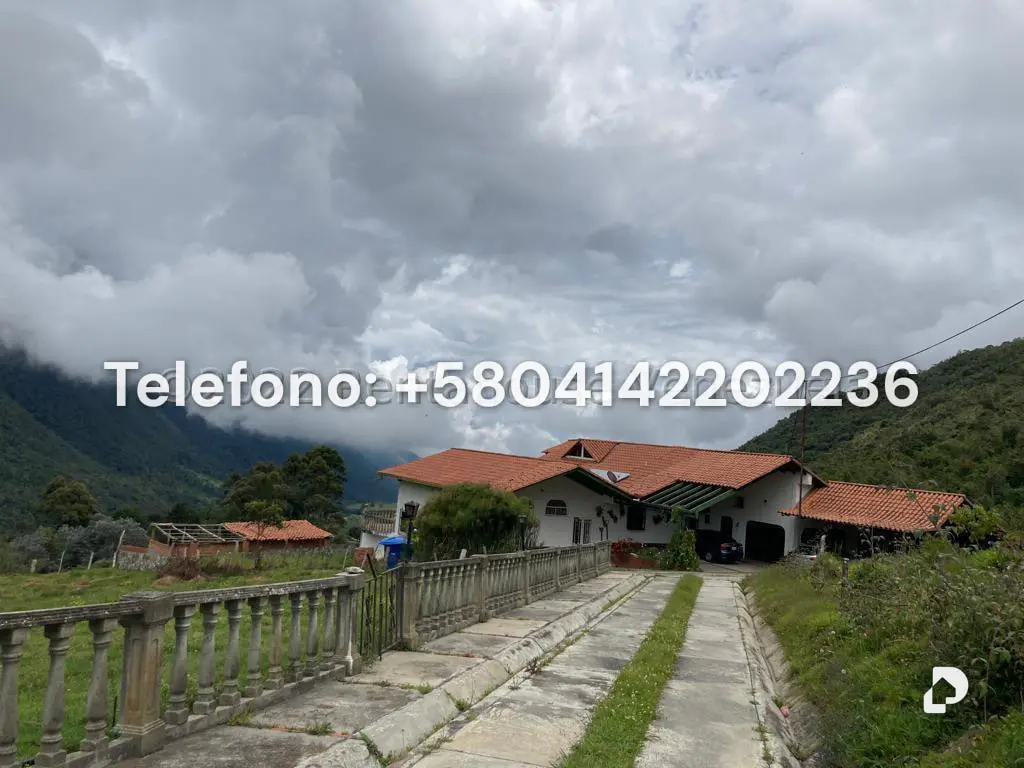 House in El Valle, Mérida – 5