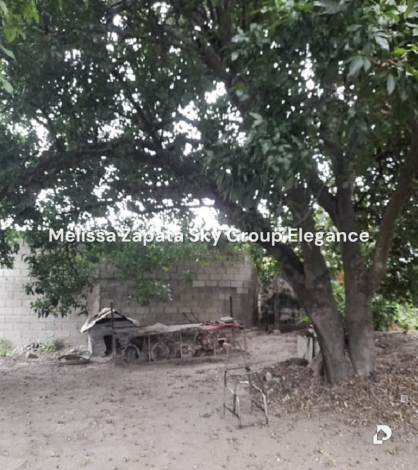 Terreno en Yaritagua – 7