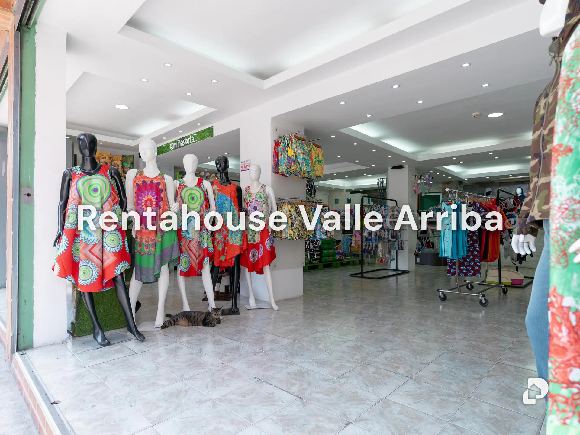 Local comercial en Cementerio, Caracas – 5