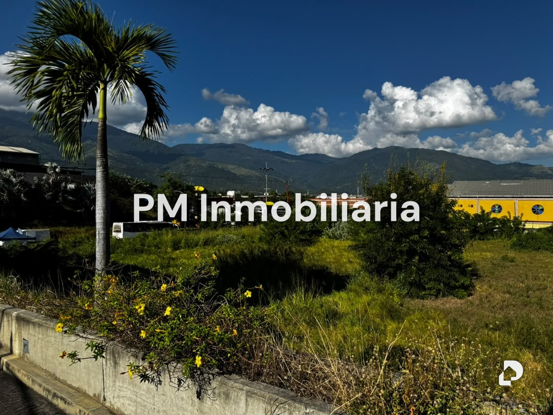 Terreno en Sector La Flores, Guatire – 2