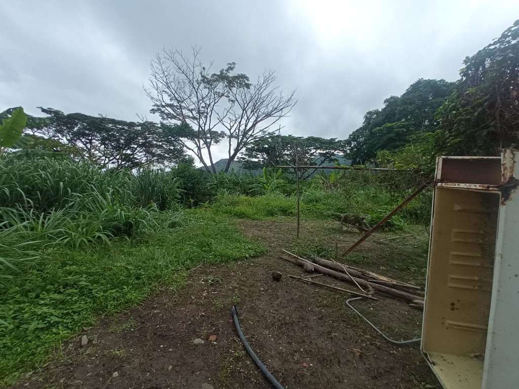 Terreno en Casco San Diego, Valencia - 1