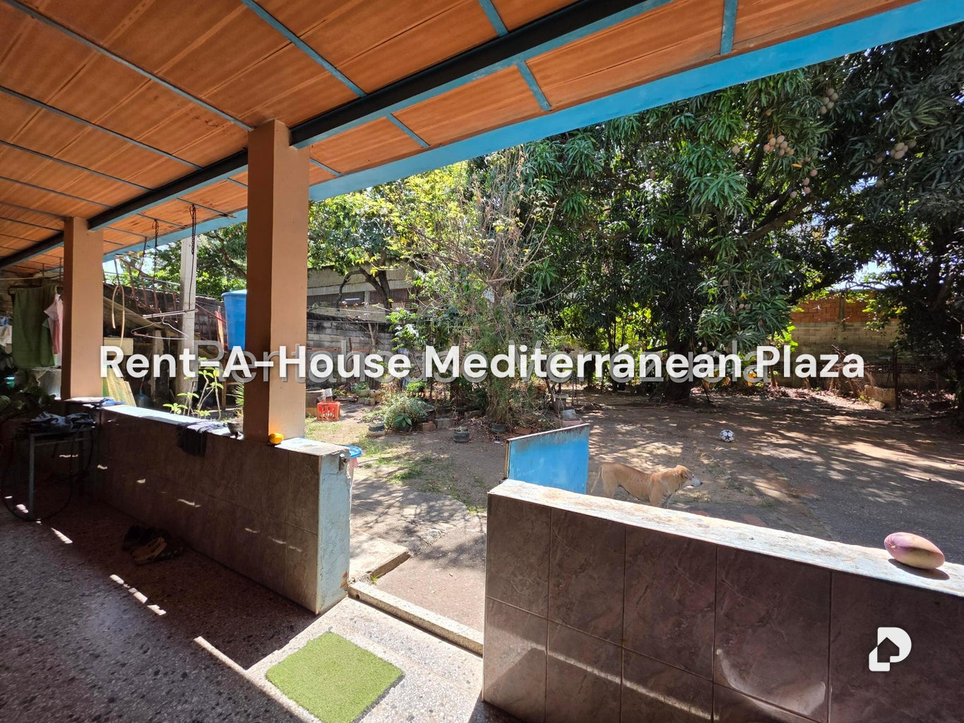House in Agua Blanca, Valencia – 8