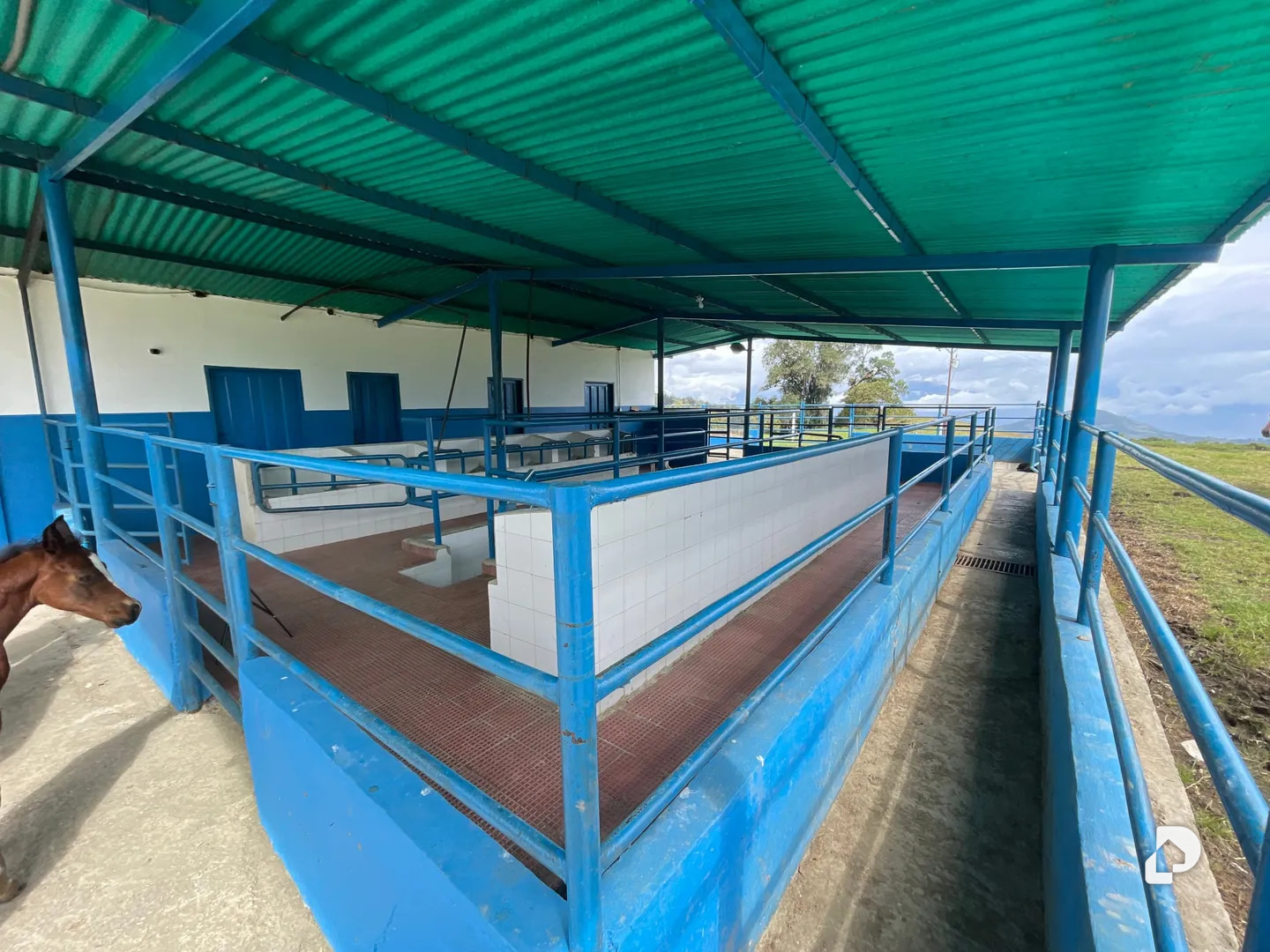 Farm in Los Cínaros a 3KM de las Cruces, Vía La Azulita – 10